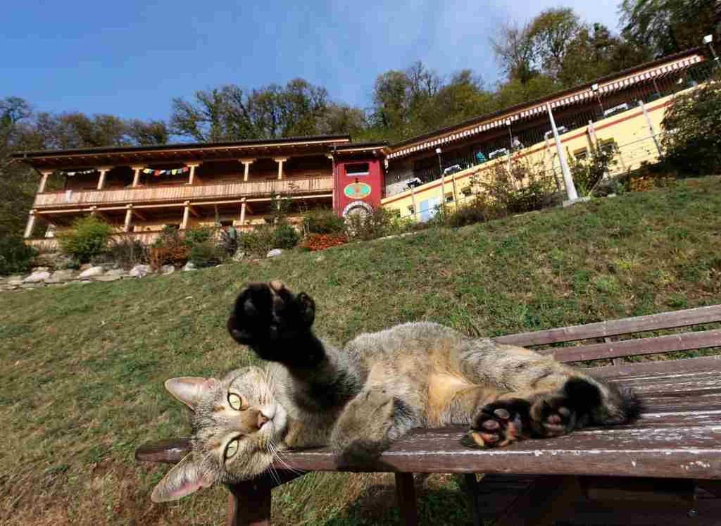 Eco Hotel Locanda Del Giglio Roveredo Capriasca Kültér fotó